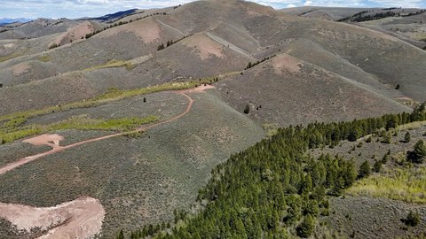 Recreational Hunting Land with Forest Border