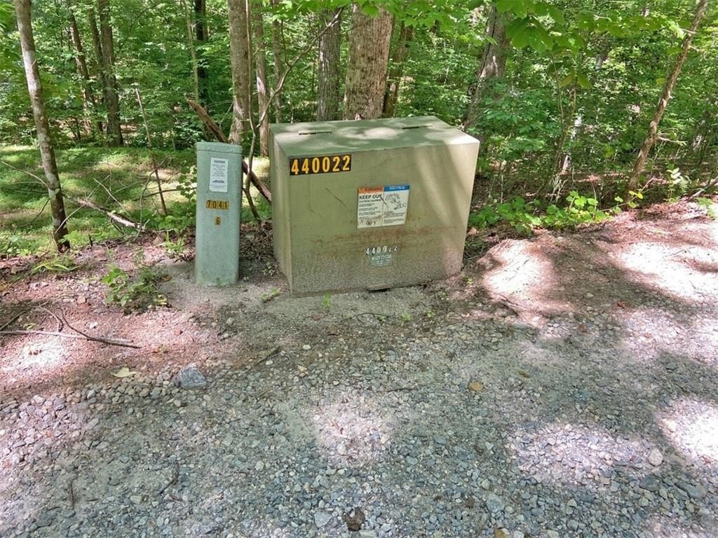 Picture 8