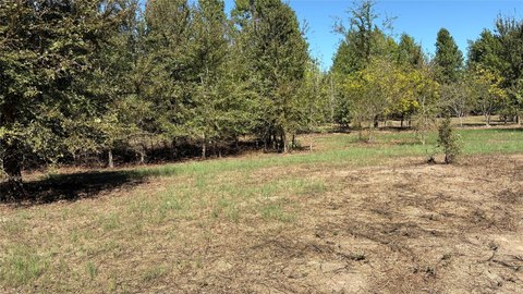 Land, Quitman, TX
