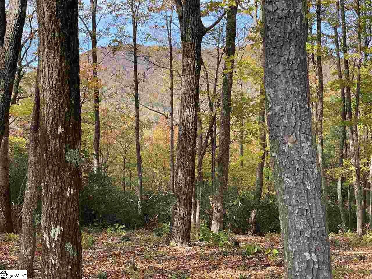 Travelers Rest Mountain Homesite