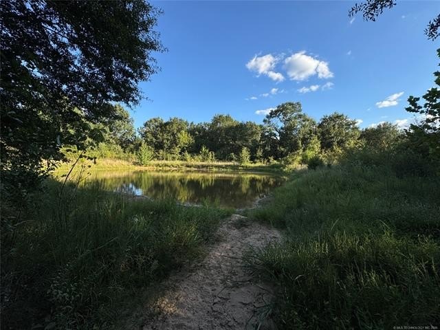 Picture 28