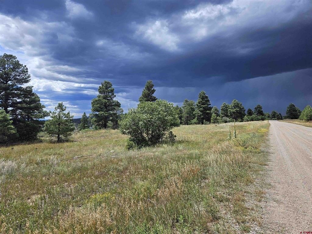 Picture 29