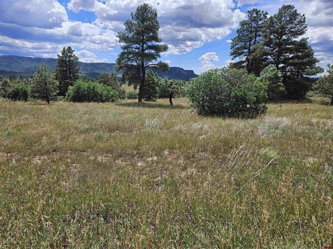 Land in Pagosa Springs, CO