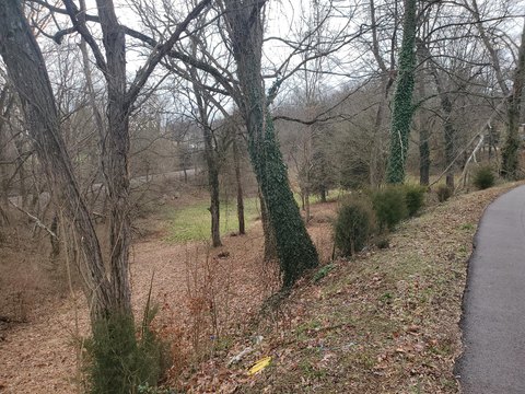 Kingsport Land Off Fort Henry