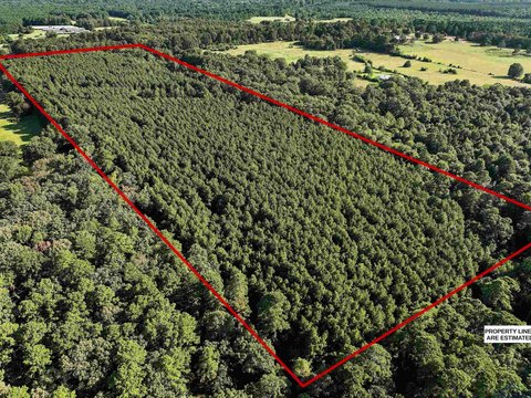 31.52 Acres in Gary, TX