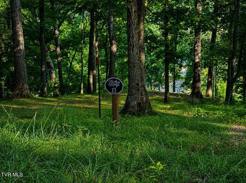Boone Lake Waterfront Acreage
