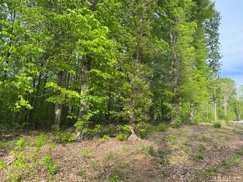 Picture 35