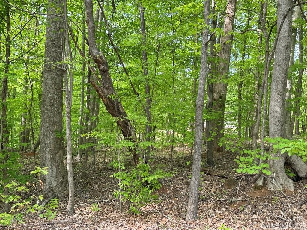 Picture 33