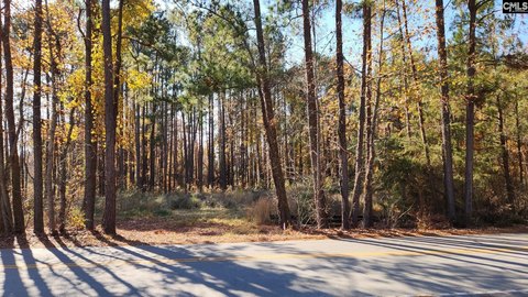 Residential Lot Near Lake Murray