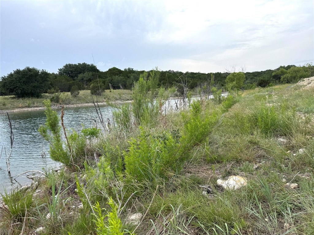 Picture 9