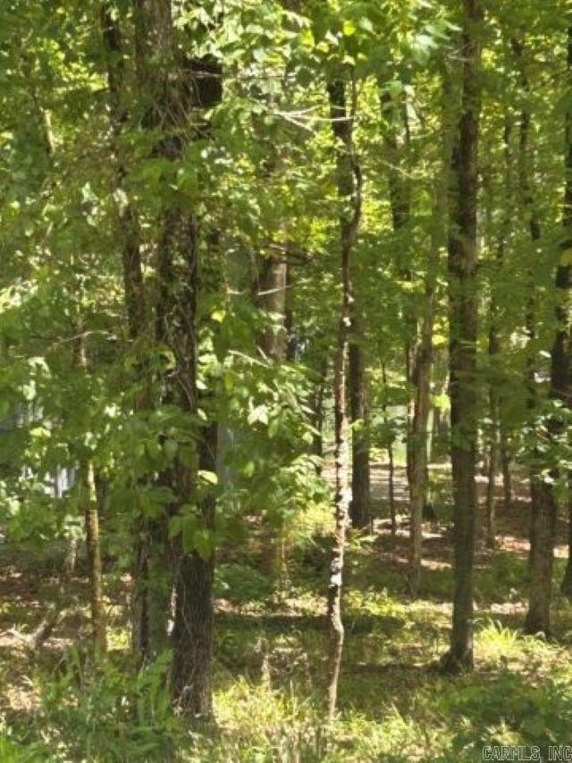 Lakefront Land in Hot Springs