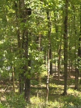 Lakefront Land in Hot Springs