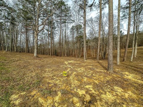 Land, East Bernstadt, KY