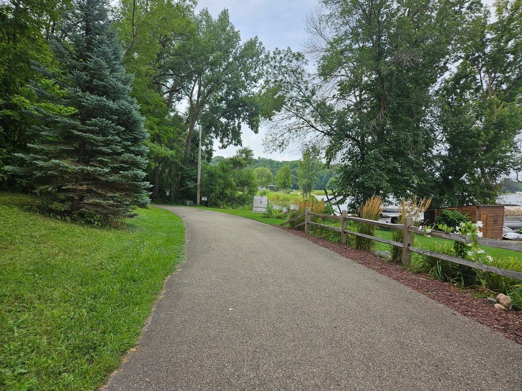 Picture 7