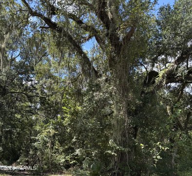 Land, Abbeville, LA