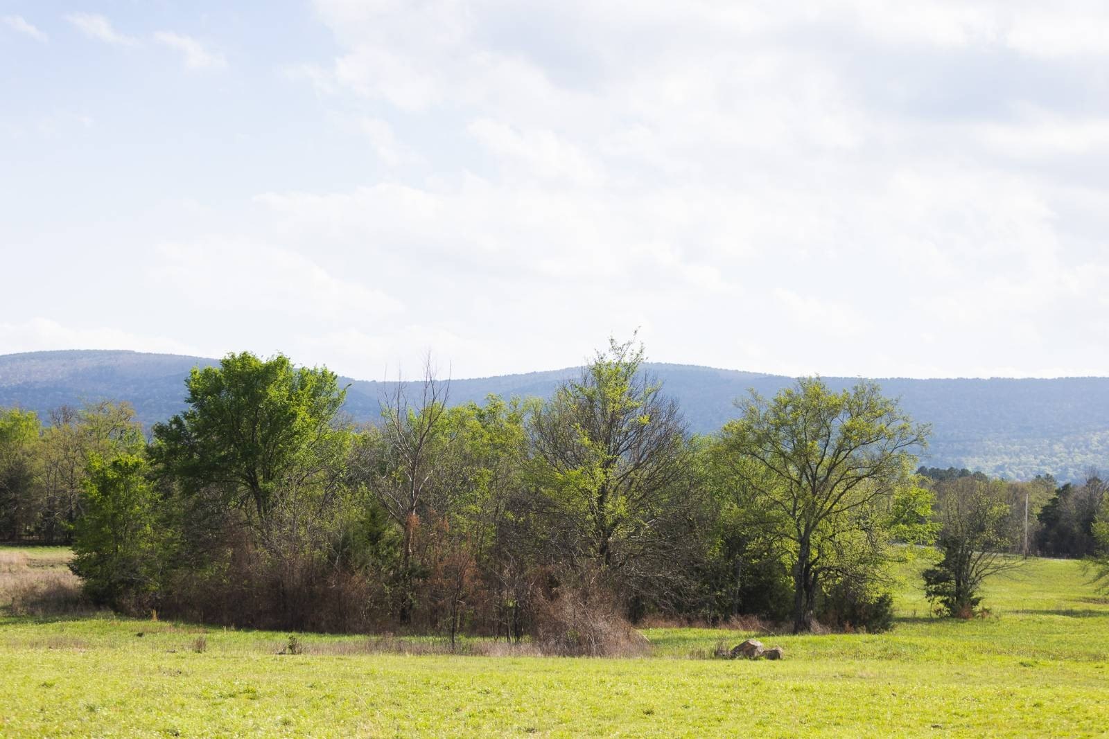 Versatile Land Near Kiamichi River