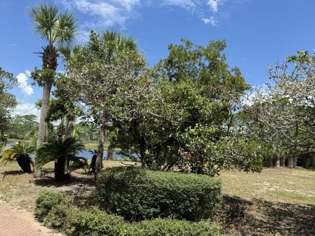Picture 14