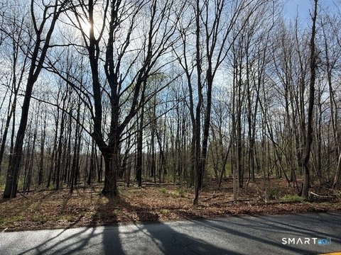 Lots and Land For Sale, Avon, CT