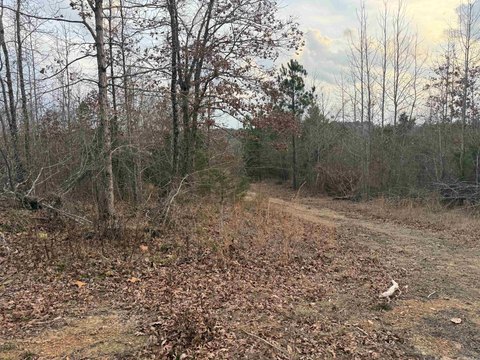 Undeveloped 40-Acre Mountain View Property