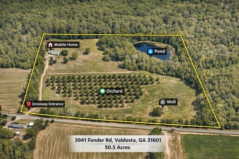 50+ Acre Pecan Orchard Homesite
