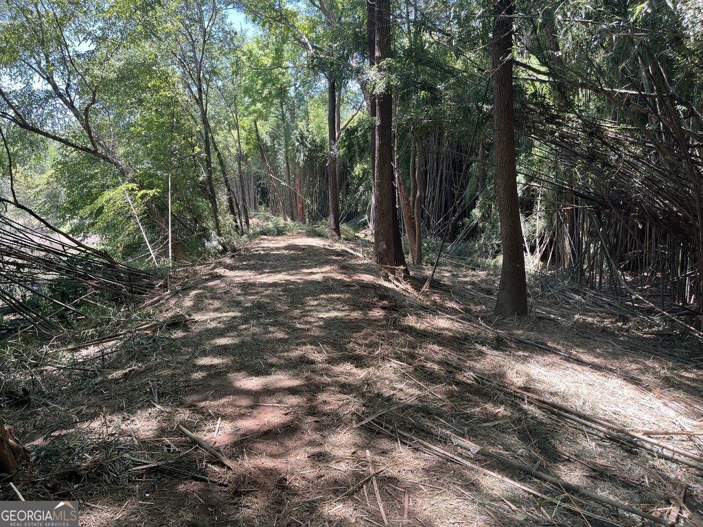 Picture 42