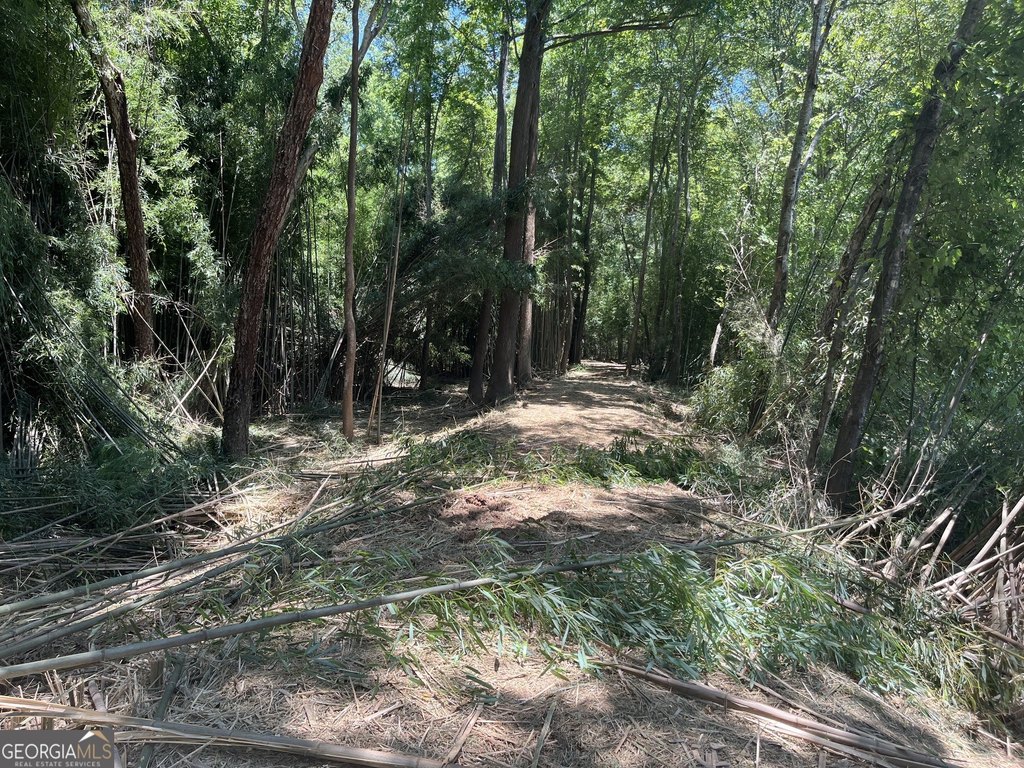 Picture 43