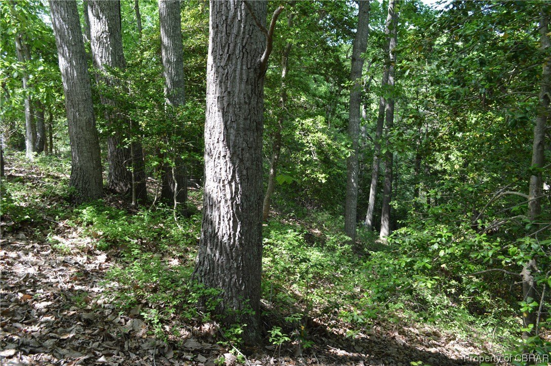 Elevated Lot in Betz Landing