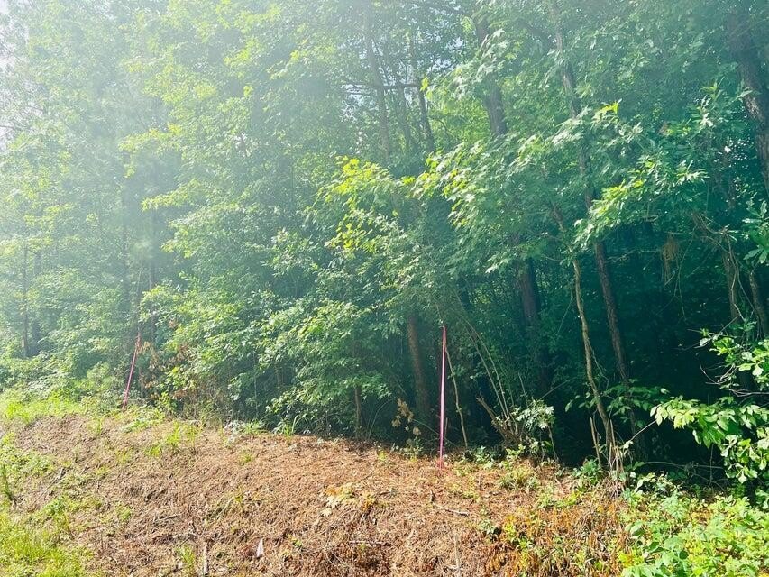 North Augusta Acreage with Creek Views