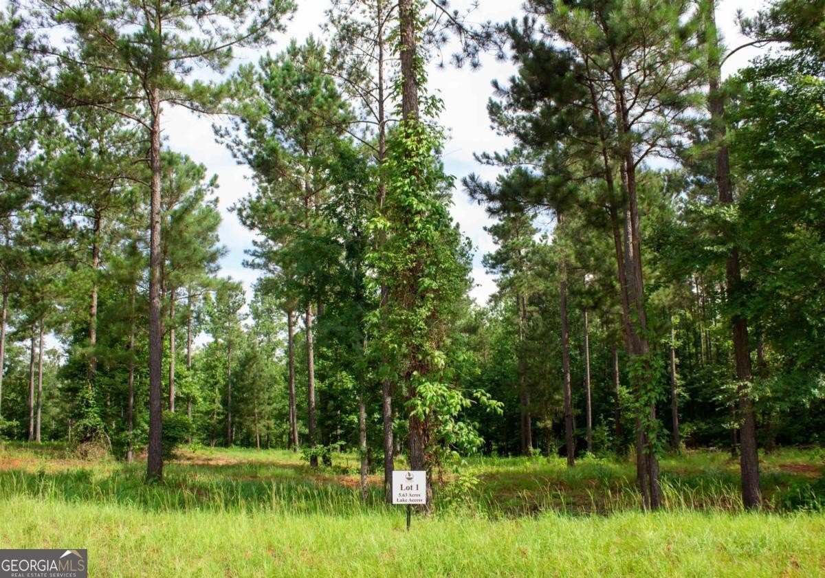 Lake Access Land in Eatonton