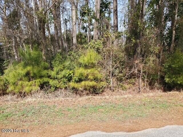 Residential Lot Near Waterway