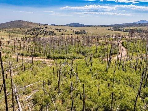 Forbes Park Mountain Land Parcel