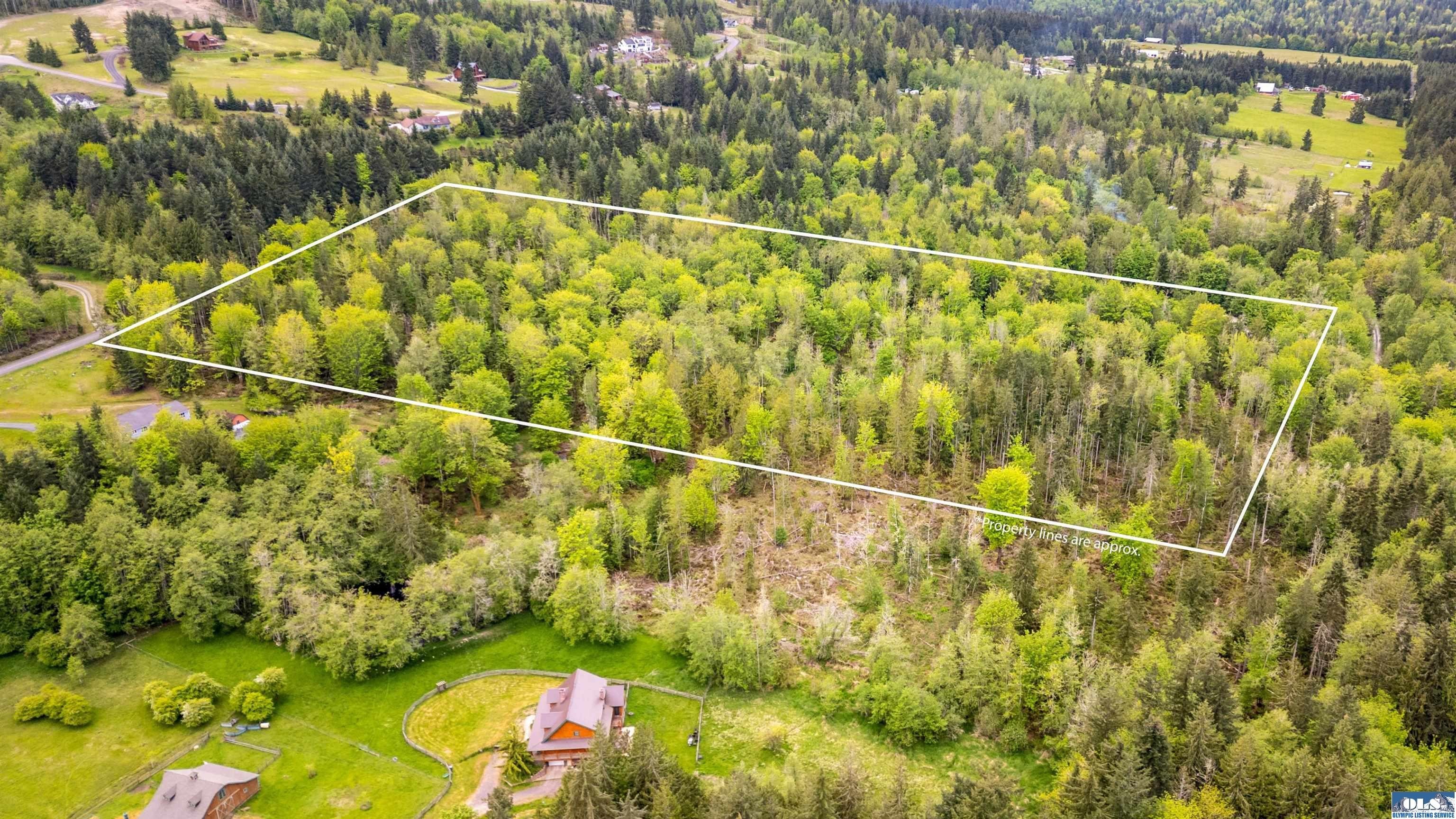 20 Acres Wooded Land Parcel