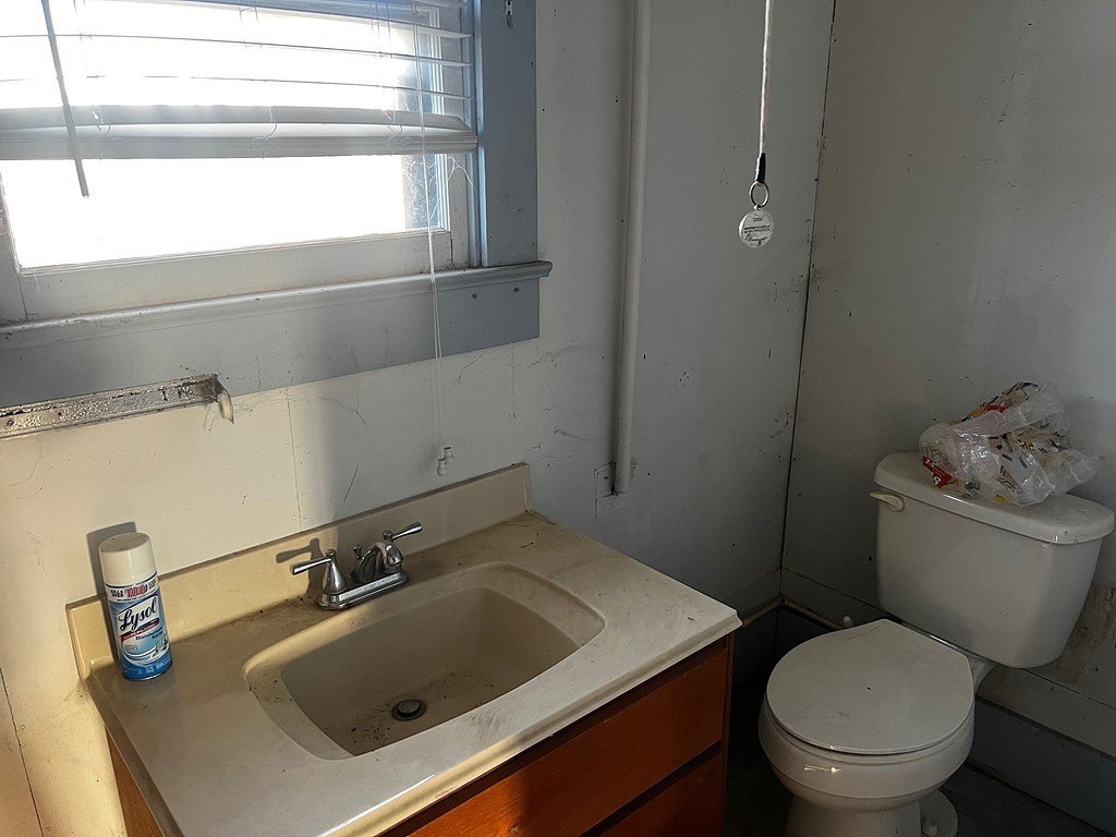 Picture 15