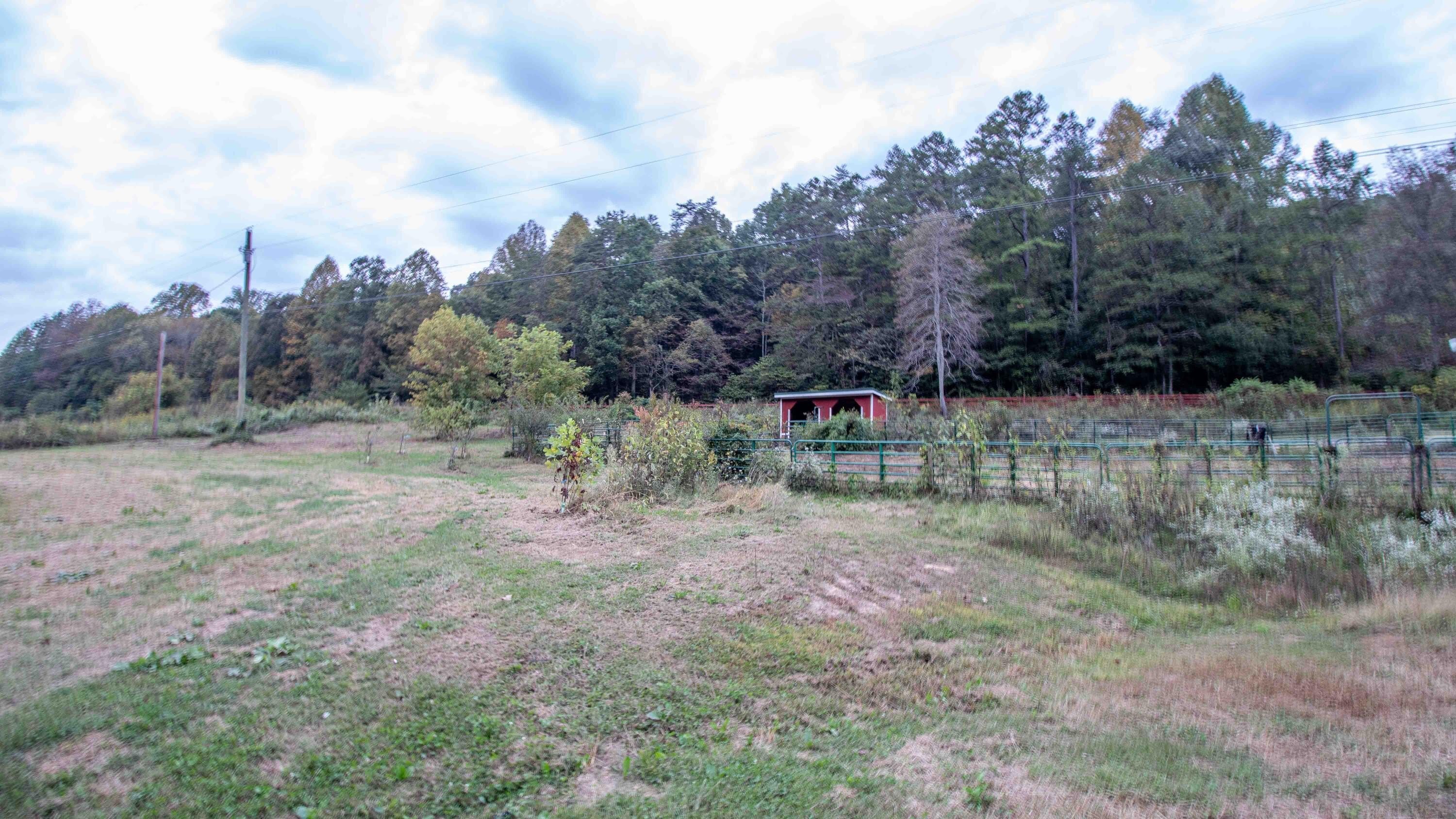 Rogersville Land with Creek
