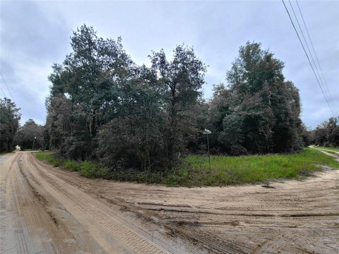 Land, BRONSON, FL