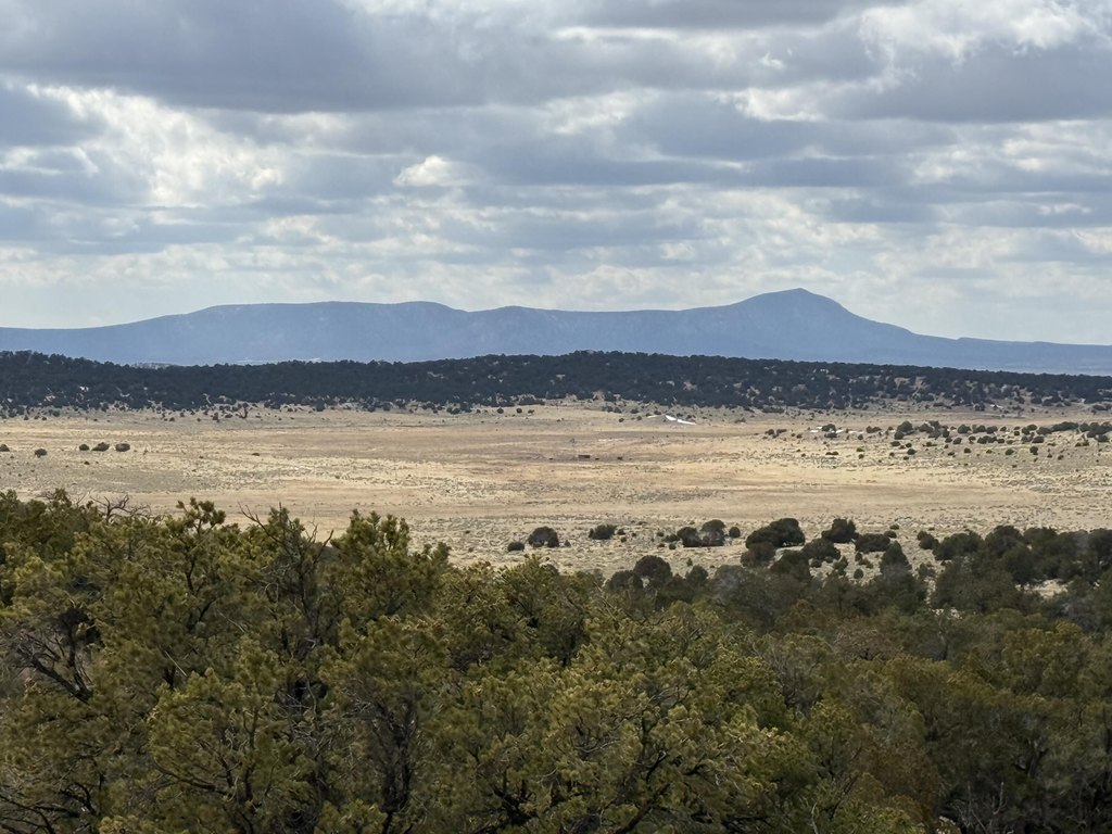 Picture 25