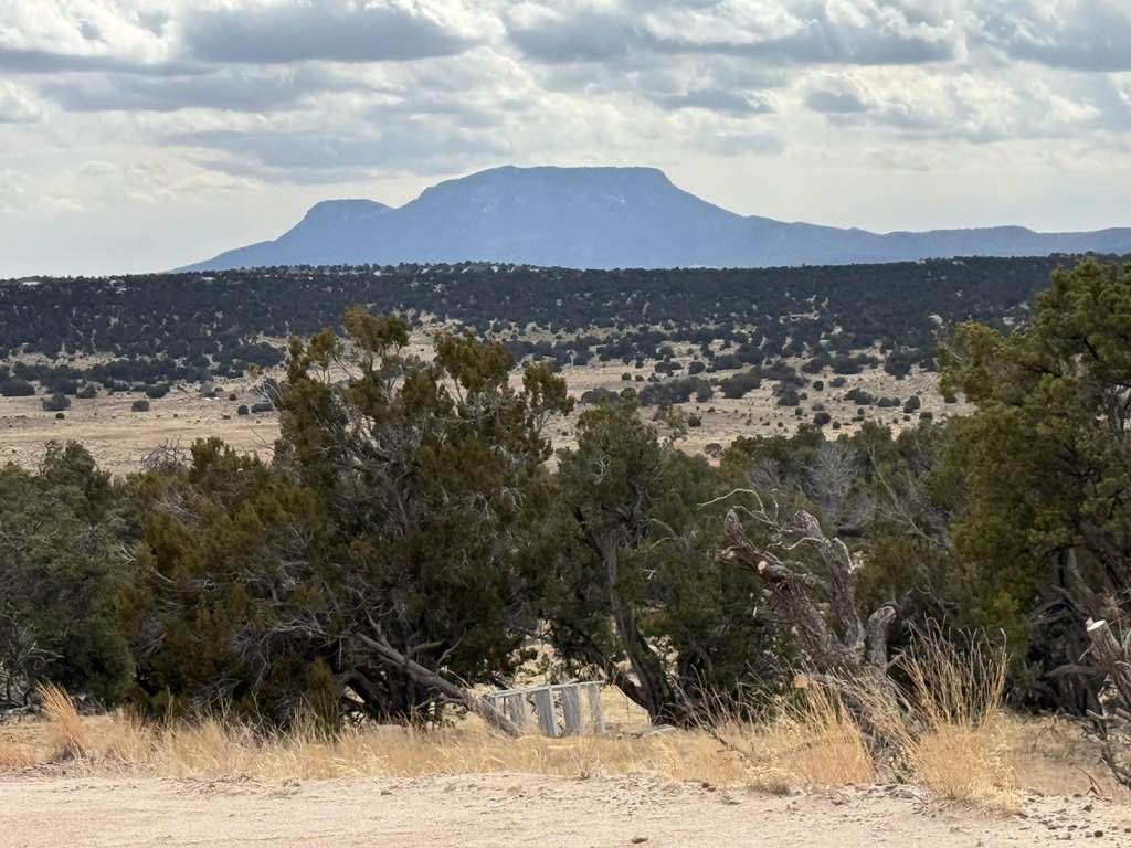 Picture 23