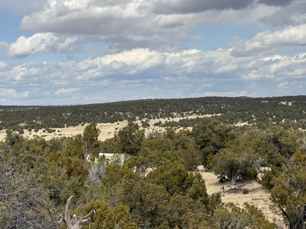 Picture 28