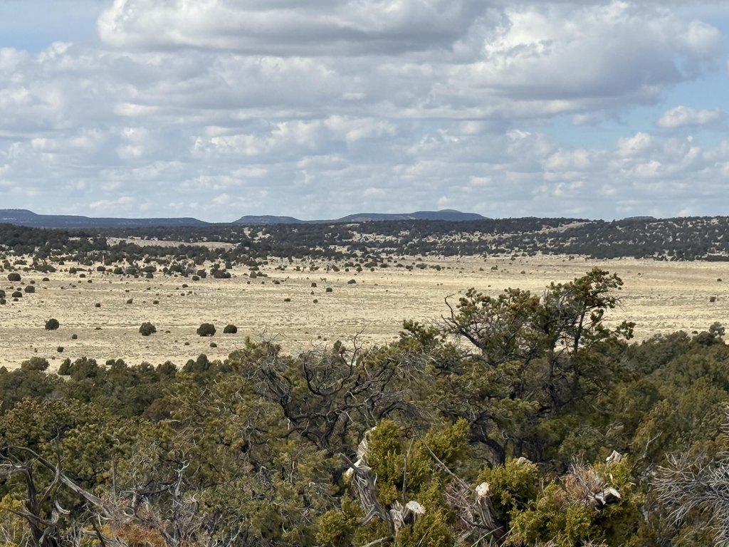 Picture 26