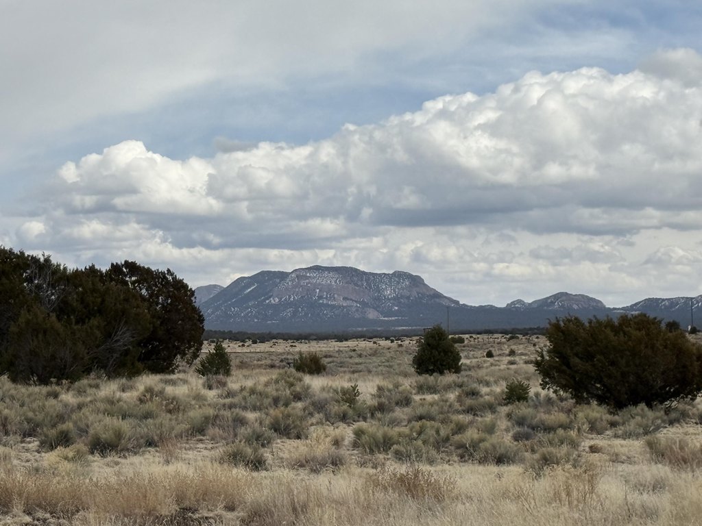 Picture 30