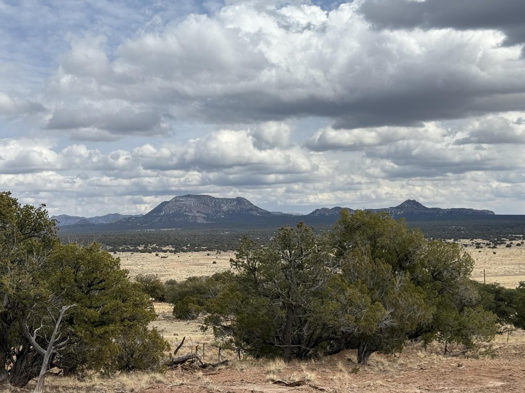Picture 29