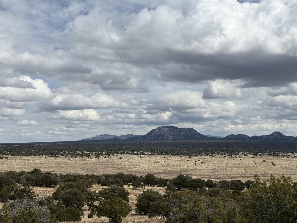 Picture 22