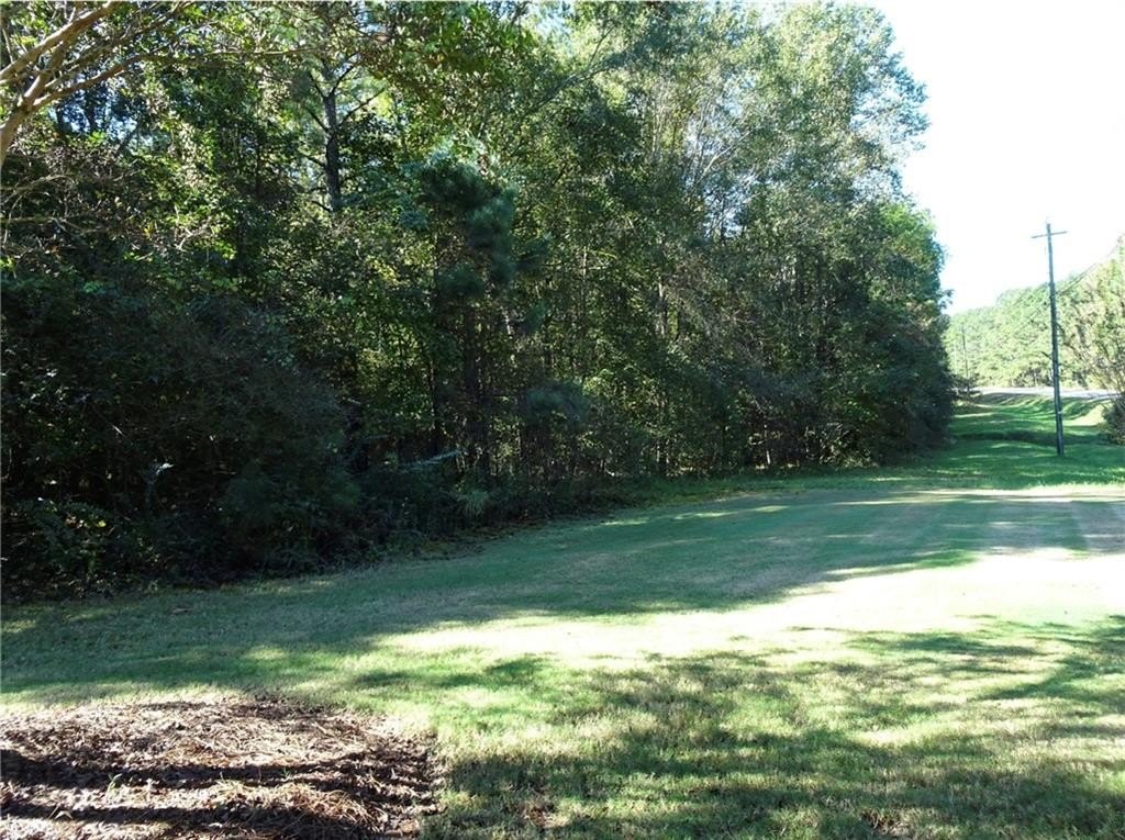 Picture 3