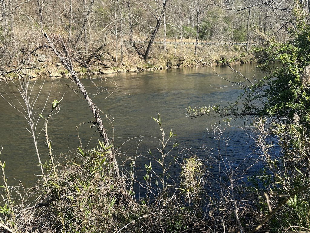 Picture 8