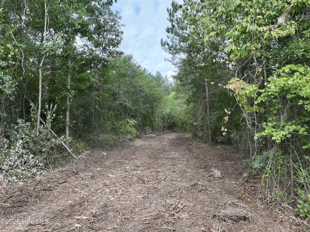 Picture 11