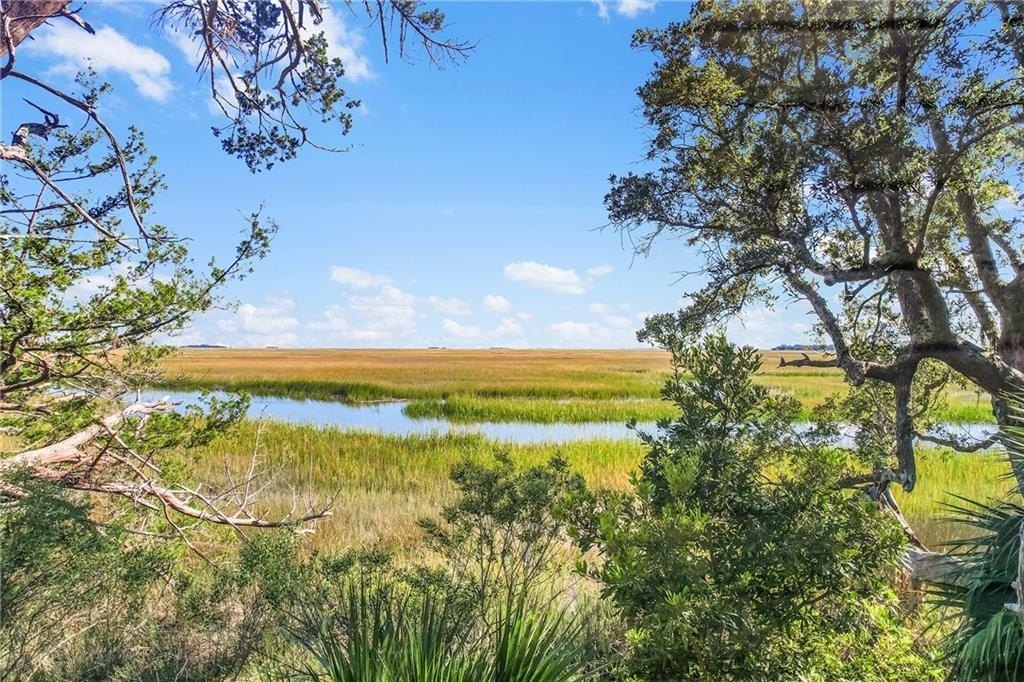 Marsh Front Lot on Tolomato