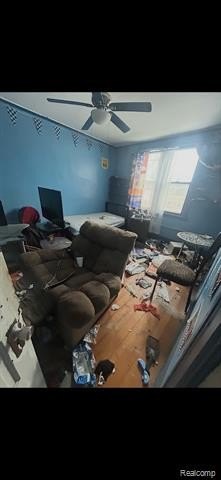 Picture 4