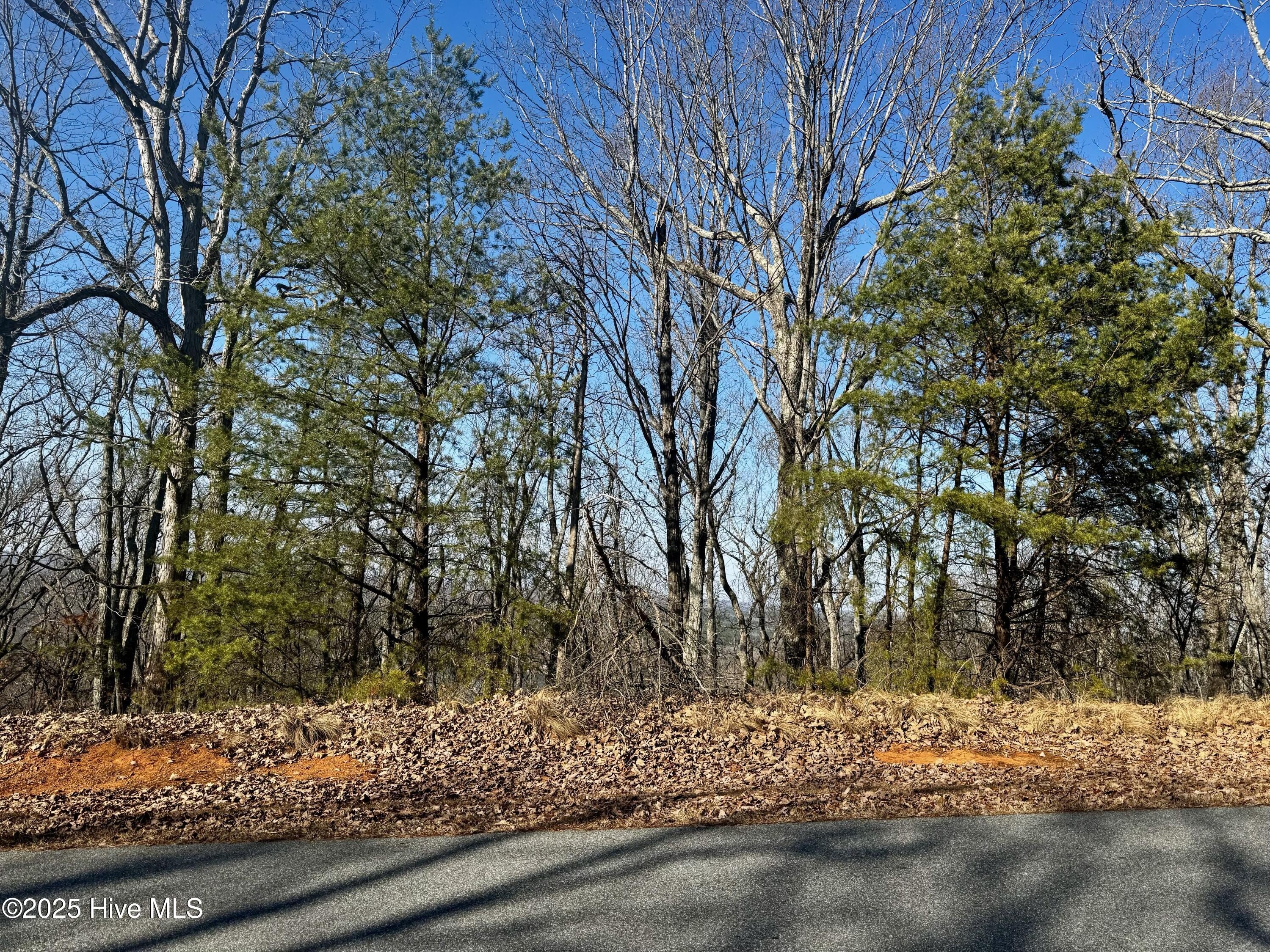 Wooded Lot in Gated Community