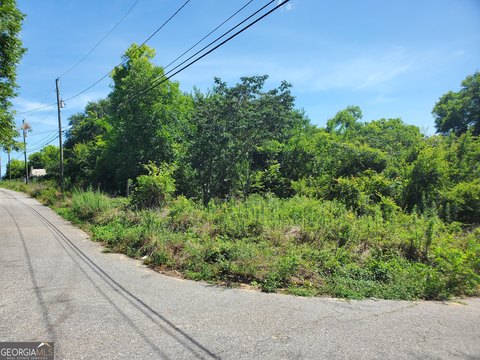Land Near Downtown Macon