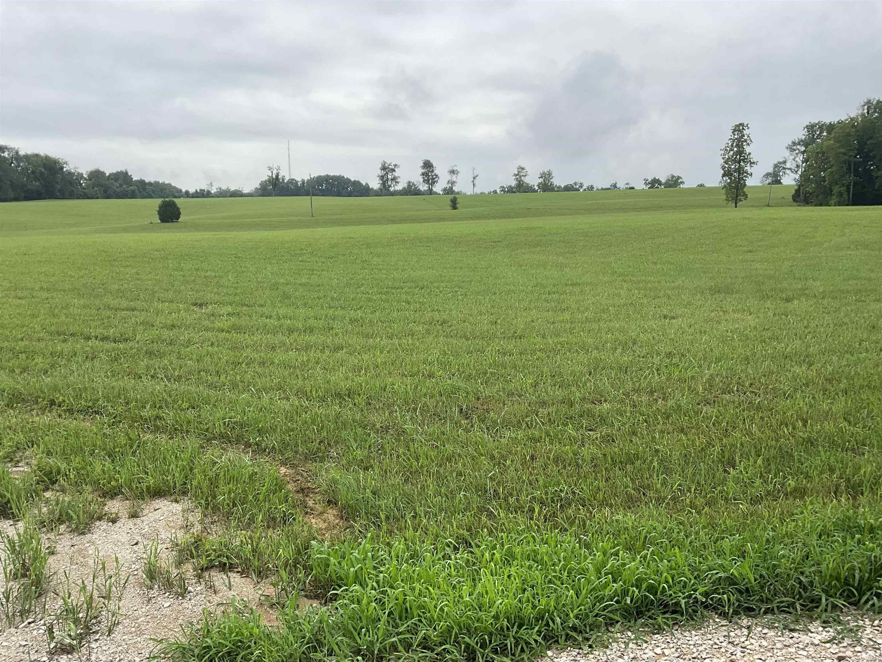 Residential Land in Freeman Fields